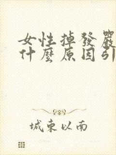 女性掉发严重是什么原因引起的