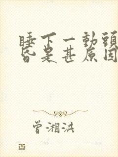 睡下一动头就头昏是甚原因