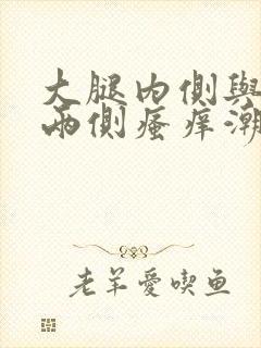 大腿内侧与阴囊两侧瘙痒潮湿发黑怎么办