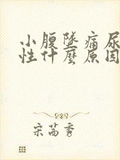 小腹坠痛尿频女性什么原因