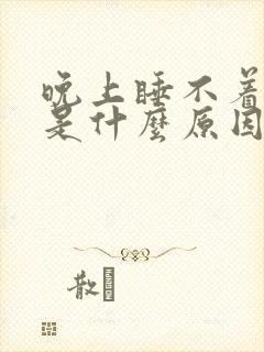 晚上睡不着耳鸣是什么原因