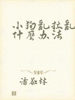 小狗乱拉乱尿有什么办法