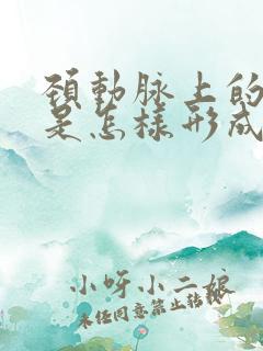 颈动脉上的斑块是怎样形成的