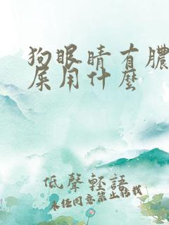 狗眼睛有脓状眼屎用什么