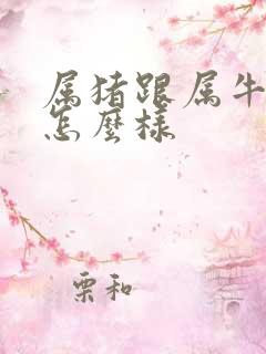 属猪跟属牛姻缘怎么样