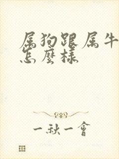 属狗跟属牛姻缘怎么样