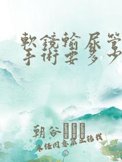 软镜输尿管结石手术要多少费用