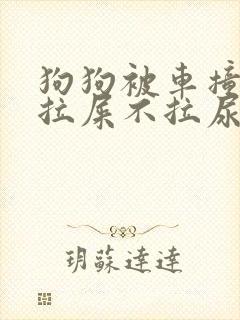 狗狗被车撞了不拉屎不拉尿怎么办