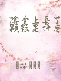 阴囊上长了小肉颗粒是什么原因