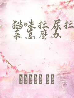 猫咪拉尿拉不出来怎么办