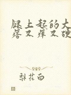 腿上起的大红疙瘩又痒又硬