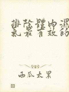 排除体内湿气寒气最有效的方法