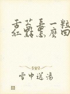 舌苔长一粒一粒红点怎么回事