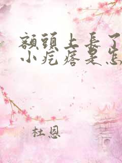 额头上长了好多小疙瘩是怎么回事