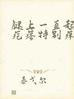 腿上一直起红色疙瘩特别痒咋回事