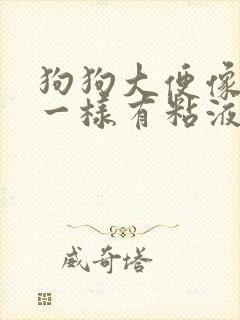 狗狗大便像果冻一样有粘液且带血