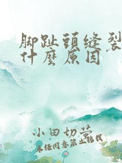 脚趾头缝裂口是什么原因