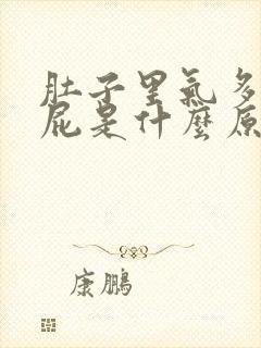 肚子里气多爱放屁是什么原因