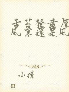 舌苔发黄厚腻是风寒还是风热