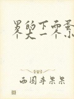 男的下面蛋蛋一个大一个小是怎么回事