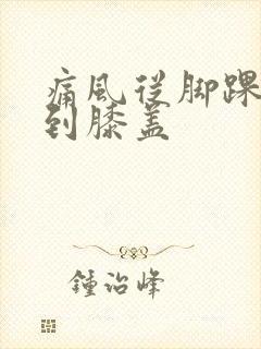 痛风从脚踝转移到膝盖