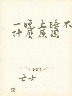 一晚上睡不着觉什么原因