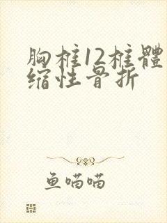 胸椎12椎体压缩性骨折