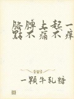 胳膊上起一片红点不痛不痒