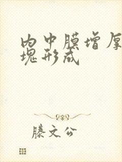 内中膜增厚伴斑块形成