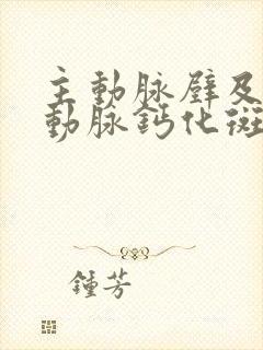 主动脉壁及冠状动脉钙化斑块