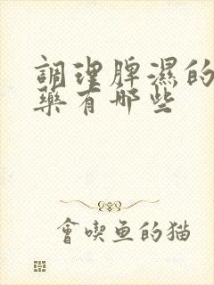 调理脾湿的中成药有哪些