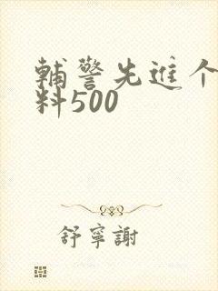 辅警先进个人材料500