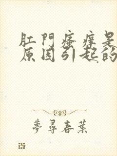 肛门瘙痒是什么原因引起的,怎么治疗女