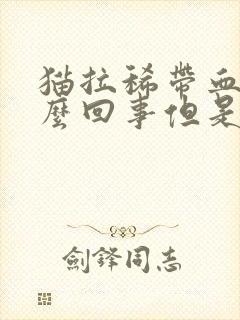 猫拉稀带血是怎么回事但是精神很好