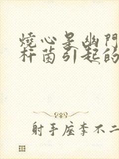 烧心是幽门螺旋杆菌引起的吗