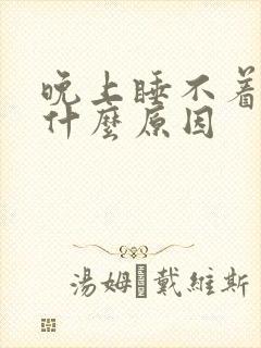 晚上睡不着觉有什么原因