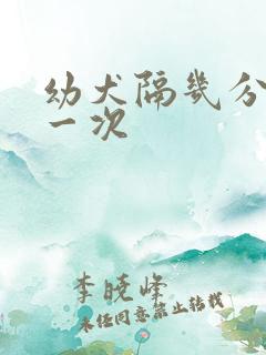 幼犬隔几分钟尿一次