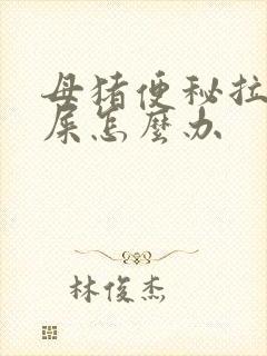 母猪便秘拉不出屎怎么办