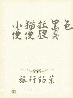 小猫拉黑色的稀便便腥臭