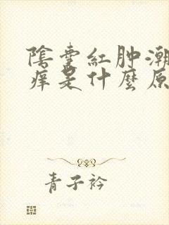 阴囊红肿潮湿瘙痒是什么原因造成的