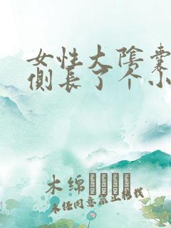 女性大阴囊唇内侧长了个小疙瘩痒