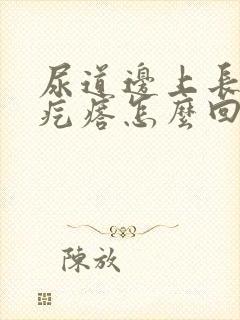 尿道边上长了个疙瘩怎么回事