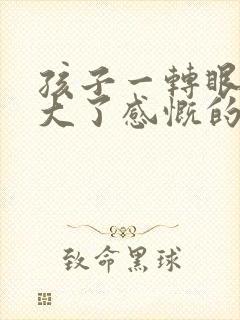 孩子一转眼就长大了感慨的句子