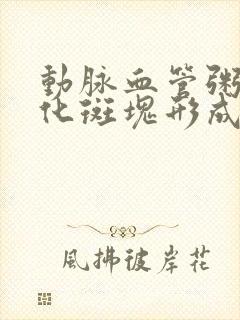 动脉血管粥样硬化斑块形成