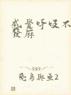 感觉呼吸不畅手发麻