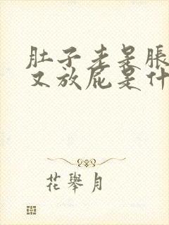 肚子老是胀气,又放屁是什么原因