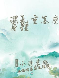 湿气重怎么调理身体