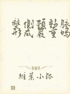 双侧颈动脉斑块形成严重吗?