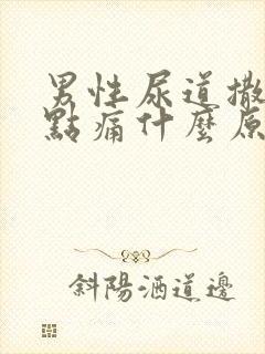 男性尿道撒尿有点痛什么原因