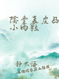 阴囊表皮凸起的小肉粒